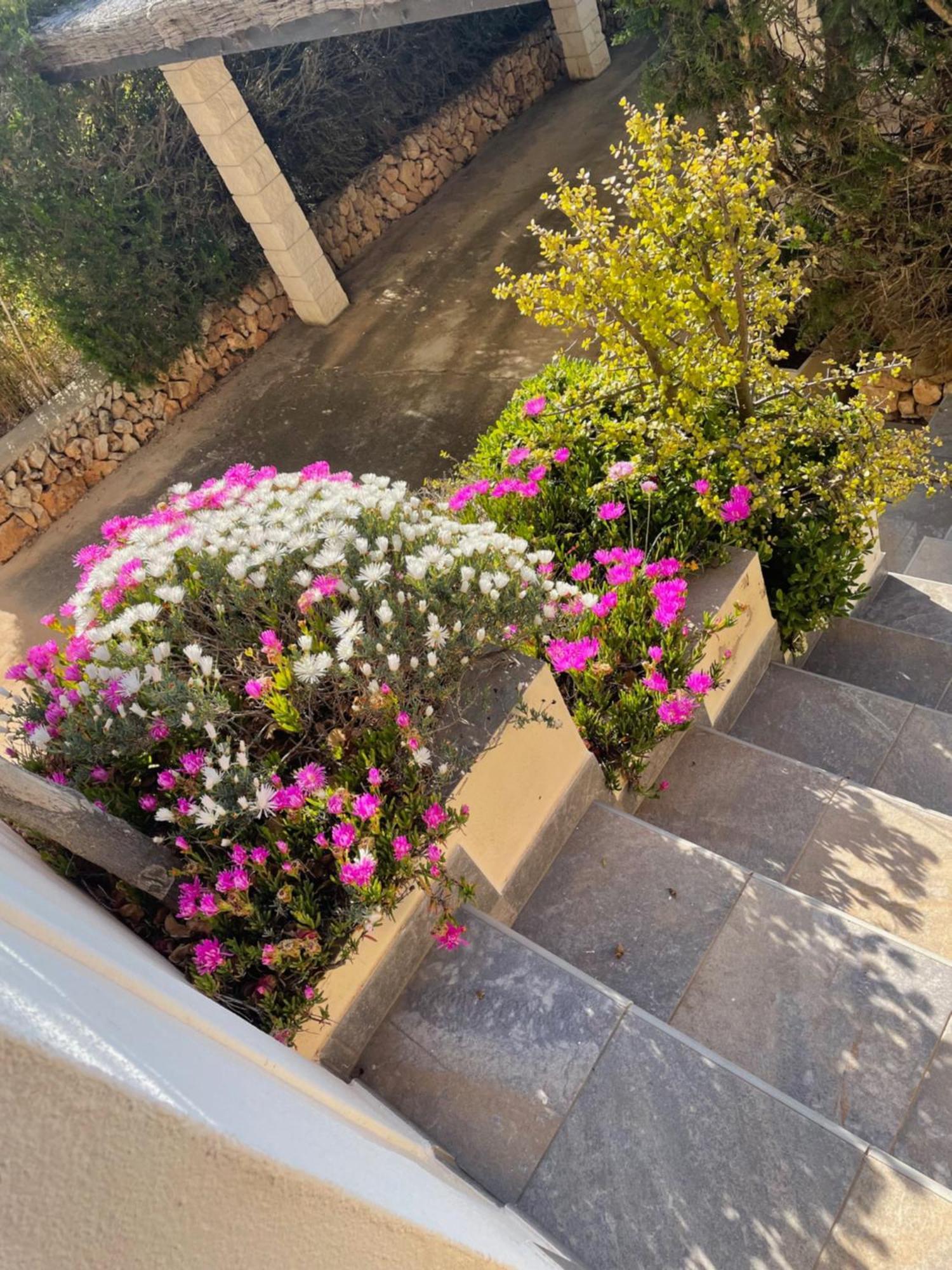 פונטה פרימה Villa Quatre Vents מראה חיצוני תמונה